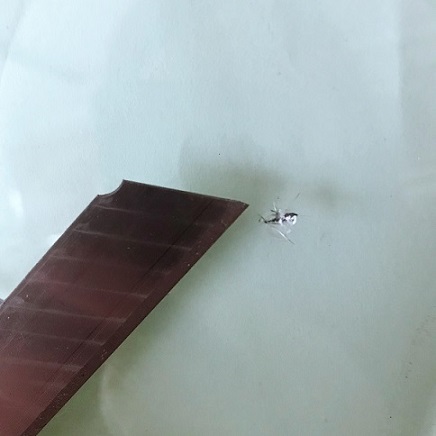 汽车玻璃拆装专用工具